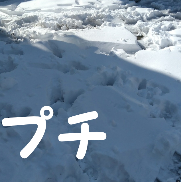 【出せない！？】大雪の東京に営業車を1日置いた結果・・・